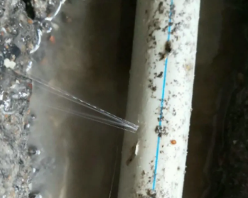 长泰卫生间测漏水多少钱